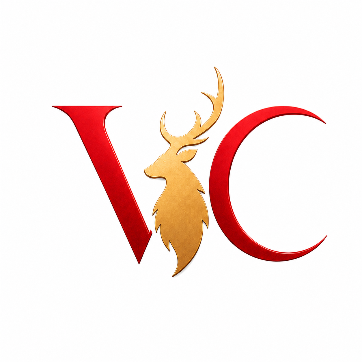 Vyora Creation